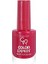 Golden Rose Color Nail Lacquer Oje No: 39 1