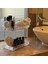 Banyo Düzenleyici Organizer Banyo Rafı (Şeffaf) 1