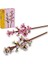 Botanicals 40725 Kiraz Çiçekleri – 8 Yaş ve Üzeri Yaratıcı Çocuklar Için Inşa Edilebilen Çiçek 1