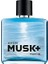 Avon Musk Marine Erkek Parfüm Edt 75 Ml. 1