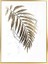 Herdekora Renk Ahşap Çerçeveli Kabartmalı Palmiye Yaprağı Kanvas Tablo Gold-Beyaz 45X2,5X 1