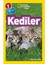 Kediler: National Geographic Kids - Seviye 1 (Kapak Değişebilir) 1