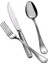 Hisar Infinity 30 Parça 6 Kişilik Çatal Kaşık Takımı 1