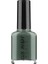 Alix Avien Soluk Yeşil 110 - Yüksek Pigmentli Uzun Süreli Kalıcılık Hızlı Kuruma - Nail Lacquer 110 1