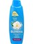 Blendax Shp Yasemin Özlü 500ML Tr 1