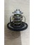 ZTH1173 25500-23010 Termostat 82 C Accent Iı - Elantra 1.5i - 1.6i 2000-2007/ Getz 1.4i - 1.5 Crdı - 1.6i 2002-2008/ Santa Fe 2.2 Crdı 2006-2012/ IX35 2.0i 16V 2010-/ Cerato - Rıo Iı 1.4 | 1