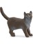 Schleich British Shorthair Kedi, Oyuncak Figür 1