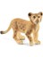 Schleich-Wild Life-Yavru Aslan 1