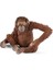 Schleich 14775 – Orang-Utan Şekli Figür 1