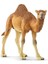 Schleich 14832 Hörgüçlü Deve Oyuncak Figürü, Çok Renkli 1