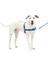 Petsafe Easy Walk No-Pull Köpek Koşum Takımı - Çekmeyi Durdurmaya Yardımcı Olacak Nihai Koşum Takım 1