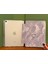 iPad 11 A16 2025 10. Nesil 10.9 Kılıf Açık Mor Zemin Sanatsal Kelebek Desenli Kalem Bölmeli Şeffaf Arka Akıllı Kapak 3