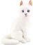 Animals Of The World Oturan Kedi Peluş Oyuncak, Beyaz, 22CM 1