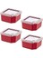 Smartware 4'lü Q-Box Saklama Kabı Carmen 350 ml 1
