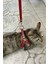 Deri Kedi Harness , Kedi Gezdirme Tasması - NPC005 1