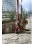 Deri Kedi Harness , Kedi Gezdirme Tasması - NPC005 2