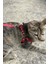 Deri Kedi Harness , Kedi Gezdirme Tasması - NPC005 5