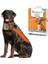 Thundershirt Dog Anxiety Jacket | Vet Recommended Calming Solution Vest For Fireworks, Thunder 1