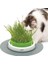 Catit Grass Planter, Kedi Otu, Kapaklı Kedi Kazığı, 1 Adet (Tekli Paket) 1