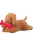 Sole Ağzında Kemiği ile Peluş Yumuşacık Sevimli Köpek, Uyku ve Oyun Arkadaşı-80 cm 1