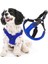 Gooby - Escape Free Horness, Small Dog Step-In Neopren Harness For Dogs For Dogs For Dogs For 1
