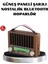 Solar Hoparlör Bluetooth FM AM SW Radyo Çok Fonksiyonlu Şarjlı 1