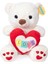 4762 Peluş Ayı Kalpli 30 cm 2