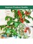 Elektro Kültür Bakır Bitki Bahçeleri Bakır Bahçe Bahçesi Bahçe Anten Bakır Çubuklar Bakır Tel 43CM (Yurt Dışından) 3