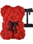 Rose Bear - Herhangi Bir Çiçek Ayının Üzerinde Gül Rengi Oyuncak Ayı Yıldönümü Için , R (Yurt Dışından) 1