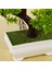 Ofis/pencere Pervazına/bahçeye Yönelik Masterr Bonsai Yapay Çam Bitkisi (Yurt Dışından) 1