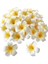 Esinti 100 Adet Beyaz Köpük Hawai Frangipani Yapay Plumeria Yaprakları (Yurt Dışından) 1