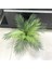 Esinti 12 Adet Yapay Palmiye Yaprakları Yapay Palmiye Yaprakları Tropikal Büyük Palmiye Yaprakları (Yurt Dışından) 2
