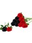12 Adet Yapay Simülasyon Gül Buketi (Siyah, Kırmızı) (Yurt Dışından) 1