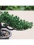 Esinti Yapay Bonsai Ağacı Sahte Bitki Saksı Dekorasyonu Yapay Houseplant (Yurt Dışından) 4