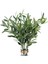 5'li Yapay Zeytin Yaprağı Paketi Uzun Saplı 94 cm Liğinde Yapay Yapraklı (Yurt Dışından) 1