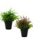 Esinti Parçası Sahte Çiçek Çim Topu Saksıda Yaratıcı Küçük Süsler Bonsai K (Yurt Dışından) 1