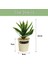 Esinti Parça Simülasyon Succulents Bonsai Kalay Saksılar Yaratıcı Küçük Süsler K (Yurt Dışından) 2