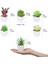 Mini Sahte Succulents Yapay Plastik Saksı Etli Çeşitleri Bitkiler (Yurt Dışından) 1