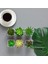 Mini Sahte Succulents Yapay Plastik Saksı Etli Çeşitleri Bitkiler (Yurt Dışından) 2