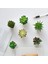Mini Sahte Succulents Yapay Plastik Saksı Etli Çeşitleri Bitkiler (Yurt Dışından) 3