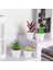 Mini Sahte Succulents Yapay Plastik Saksı Etli Çeşitleri Bitkiler (Yurt Dışından) 4