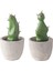 Piece Kaktüs Simülasyon Tesisi Bonsai Masaüstü Çimento Saksı Kaktüs Küçük Decora (Yurt Dışından) 1