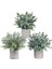 3'lü Yapay Mini Saksı Okaliptüs Bitkisi Seti, Yapay Yeşil Biberiye (Yurt Dışından) 1