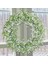 Esinti Gypsophila Çelenk Beyaz Yapay Çelenk Dekorasyon 40 cm Kapı Çelengi Çiçekler Bahar Doğal (Yurt Dışından) 4