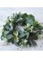Esinti Okaliptüs Yapay Çelenk, Çelenk Noel Kapı Çelengi Duvar Çelengi Ivy Garland Eu (Yurt Dışından) 2