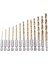 2 Set Yüksek Hızlı Çelik Titanyum Kaplamalı Matkap Bitleri Hex Shank ile Ayar - 1 Set 15 Pc ve 1 Set 13 Pcs (Yurt Dışından) 2