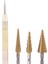 12 Pcs Hss Titanyum Adım Matkap Bit Seti ve 4 Pcs Otomatik Merkez Punch (Yurt Dışından) 3