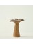 Palm Mumluk Kahverengi (16X13X18 Cm) 1
