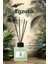 Rosıe Exotic Reed Diffuser Çubuklu Oda Kokusu 100 ml 1