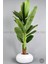 Yapay Muz Ağacı 190 cm Bone Saksı 1